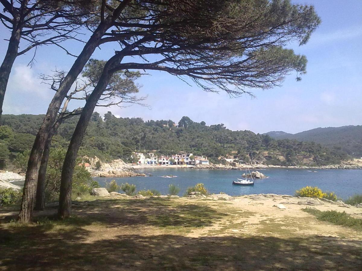 Hotel Ancora Palamós Esterno foto